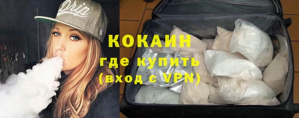 прущие грибы Арсеньев