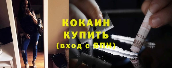 прущие грибы Арсеньев